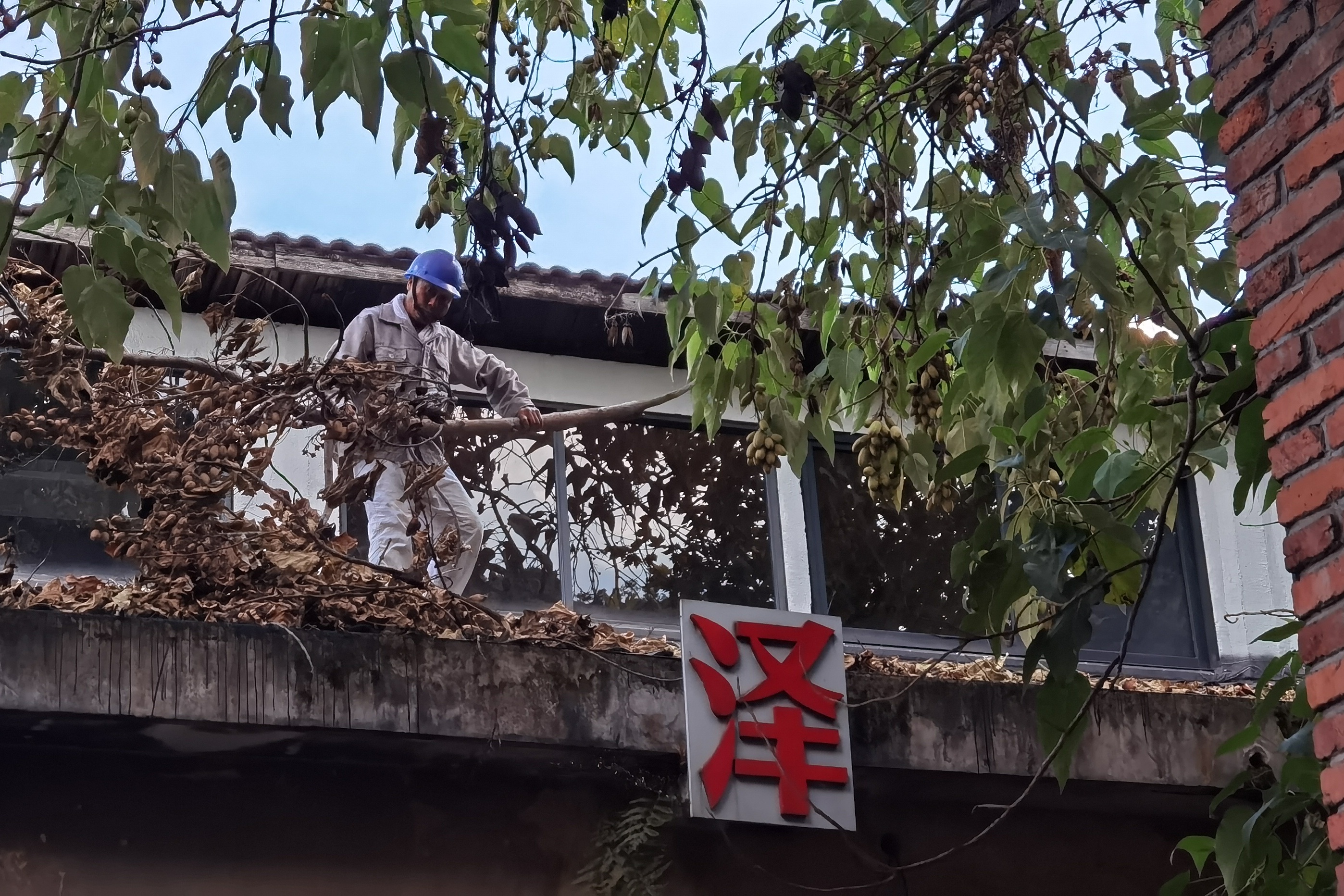 微信圖片_20240723172608.jpg 微信圖片_20240723172608.jpg